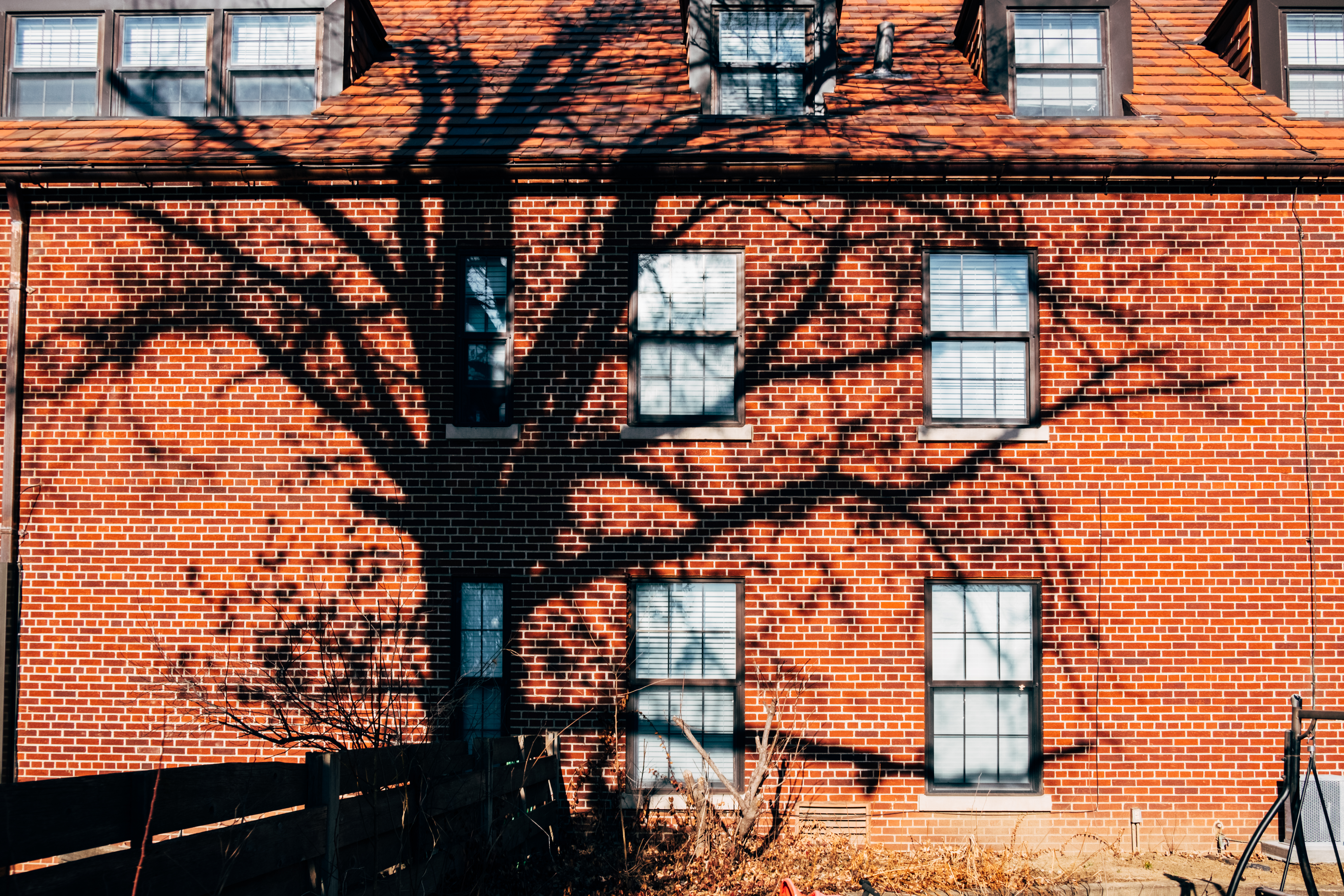 in-the-backyard_39882598244_o